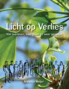 Cover afbeelding voor "Licht op verlies"
