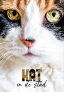 Cover afbeelding voor "Kat in de Stad"